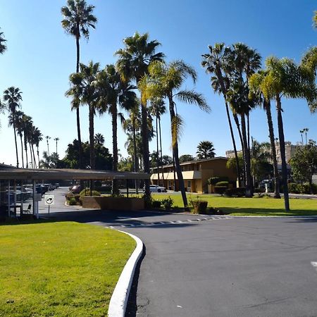 Hotel Palmeras Chula Vista Esterno foto